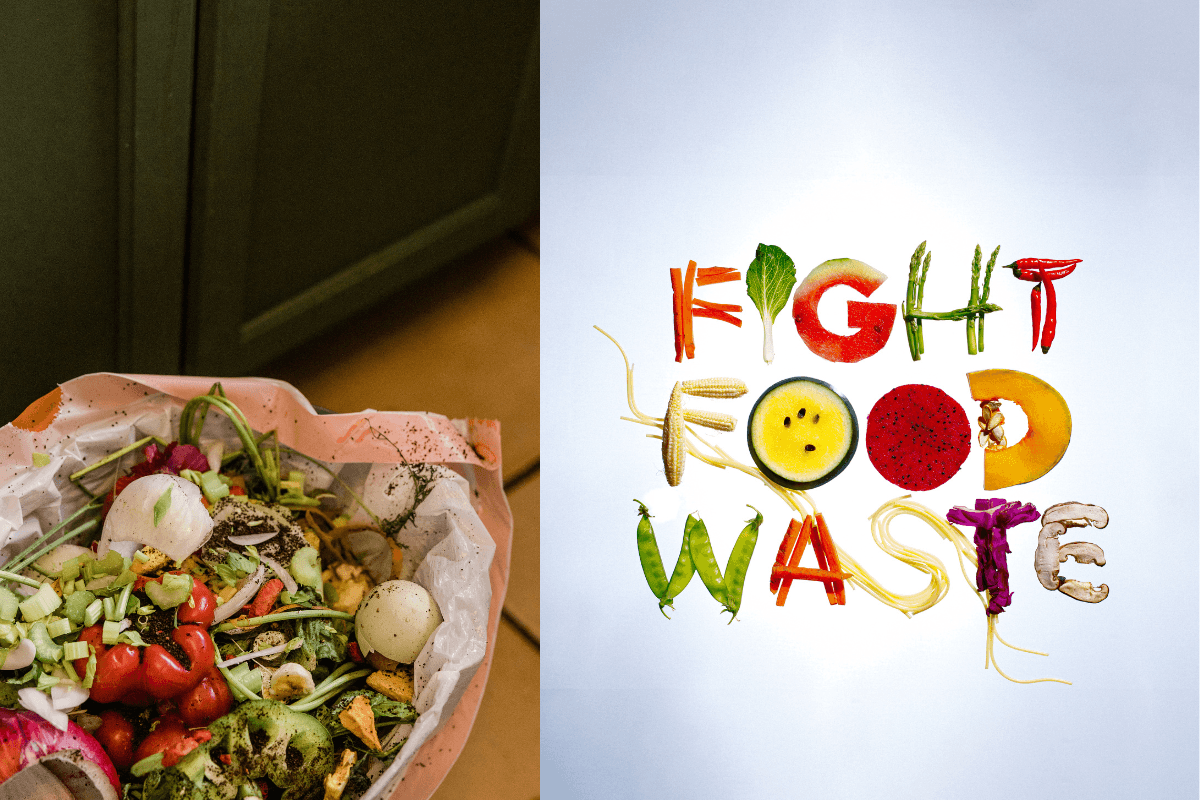 How to Reduce Food Waste: Simple Tips for Every Home